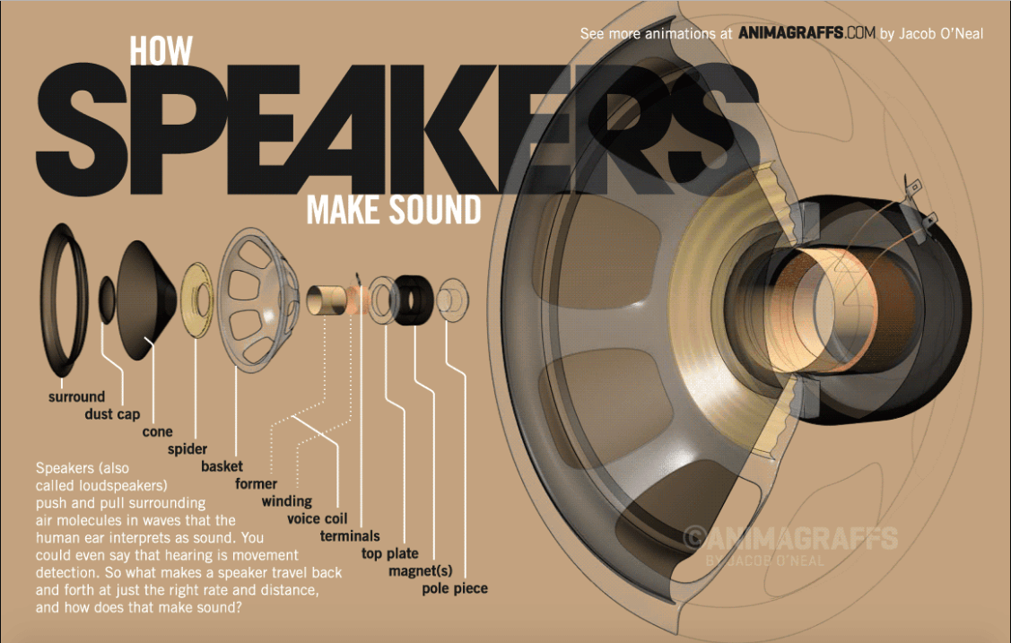 How Speakers Make Sound