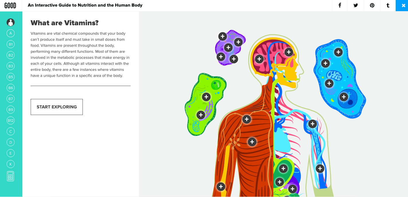 Vitamin Atlas: An Interactive Guide to Nutrition and the Human Body
