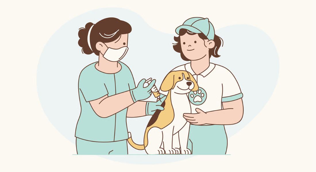 Video Marketing for Veterinary Clinics: Winning Pet Owners